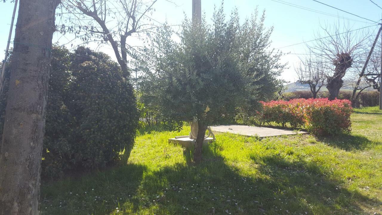 Casa Selene Rocchi Villa Savignano sul Panaro Exterior foto